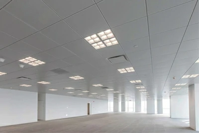 Common processing and functional configuration