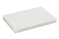 Thermoplastic honeycomb sandwich panel