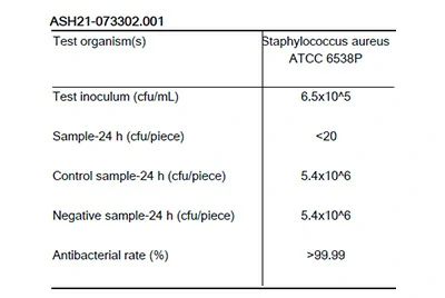 Staphylococcus aureus antibacterial test report