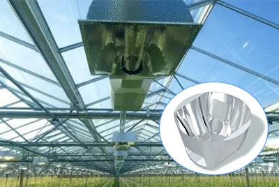 Plant lighting and energy system applications