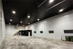 Ceiling system and building cladding