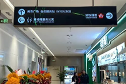 Signage system and wayfinding structure