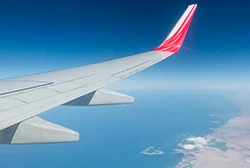 Wing skin