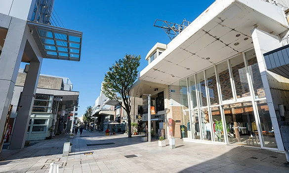 Modern aluminum storefront system for office building and showroom facade