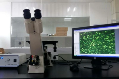 Metallographic microscope