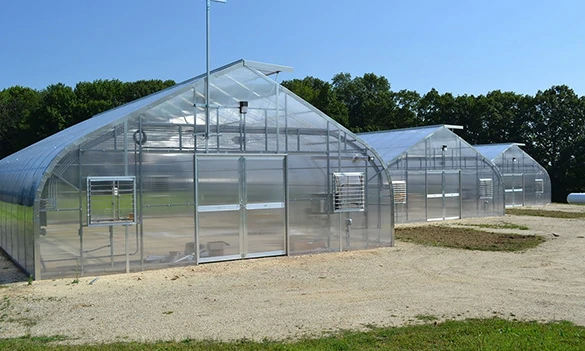 Freestanding aluminum greenhouse with custom aluminum frame and polycarbonate panels