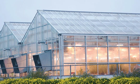 Commercial aluminum greenhouse frame system for nursery and growing projects