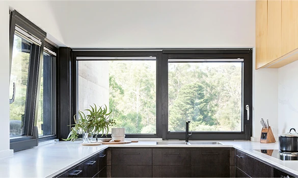 Balcony and Kitchen Windows