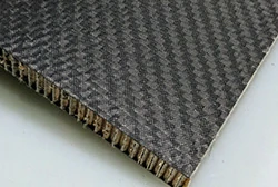 Carbon fiber honeycomb panel