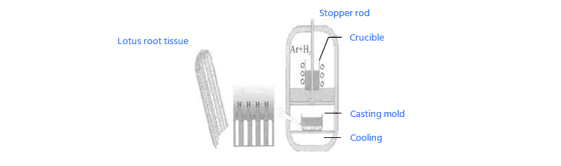 Schematic Diagram of Solid Gas Eutectic Solidification Process for Preparing Porous Materials