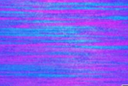 Streamlined longitudinal grain flow Streamlined longitudinal grain flow