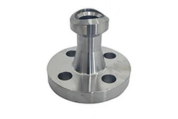 Weldolet flange