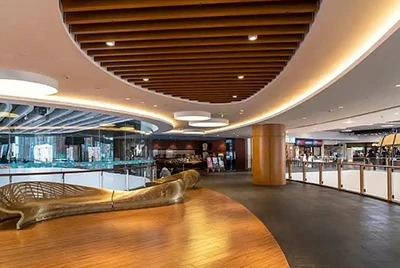 ACP Panels for Interior Decorative Applications ACP Panels for Interior Decorative Applications
