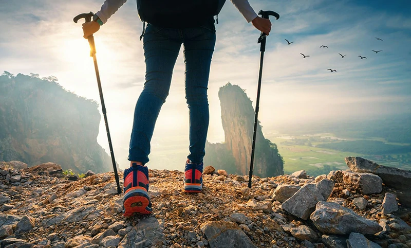 Trekking poles & tent rods Trekking poles & tent rods
