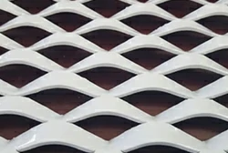 Fish Scale Hole