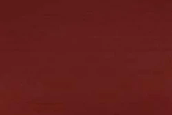 Wine red Wine red
