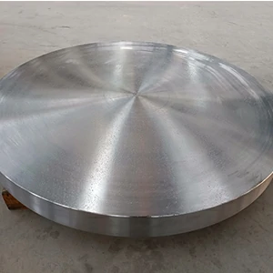 Large diameter forged disc