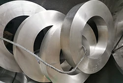 Hollow Forging Ring Hollow Forging Ring
