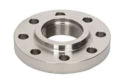 Forged Flange Forged Flange
