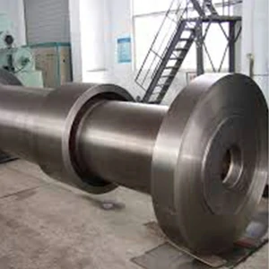 Hollow Forged Shaft