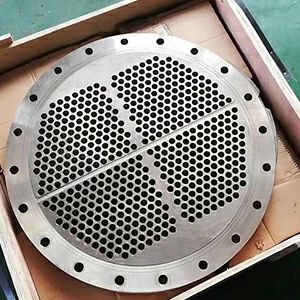 Forged Tube Sheet