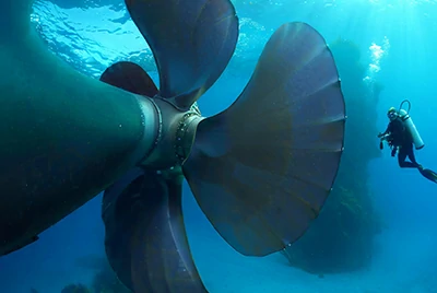 Propeller shaft system and power module Propeller shaft system and power module