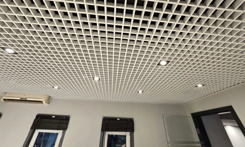 Aluminum Ceiling Panel Cooperation Case